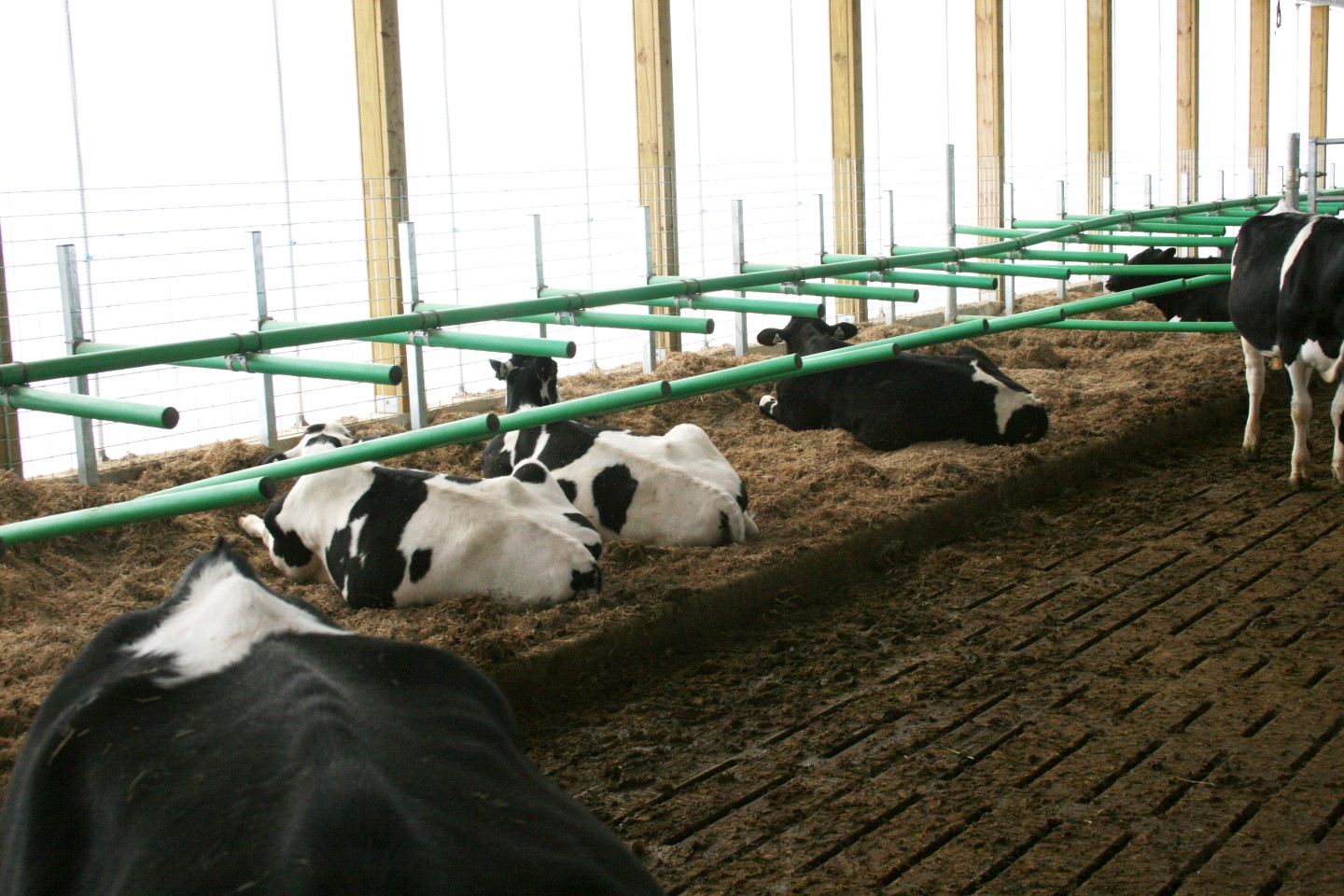 Robotic Dairy Barns | Dairy Barns Ontario | Post Farm Structures